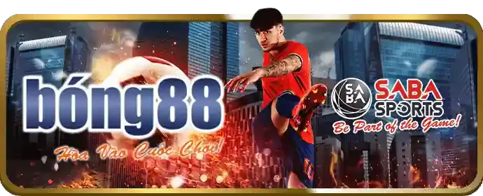 Cá cược bóng rổ mb6